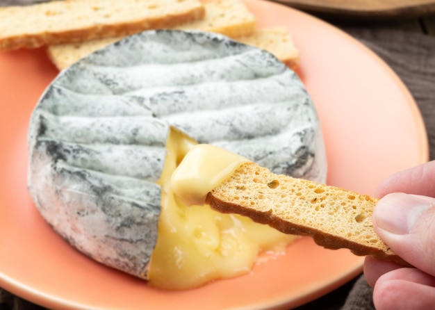 Mano che tiene il pane tostato con il formaggio lua cheia dell'artigiano brasiliano fuso su un tavolo di legno