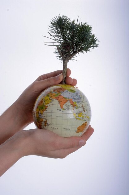 Hand holding tree on globe