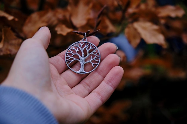 Hand holding tree of life in the garden with autumn leaves background