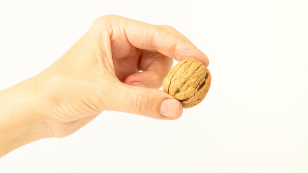 Hand holding a walnut isolated on white background Walnut concept background