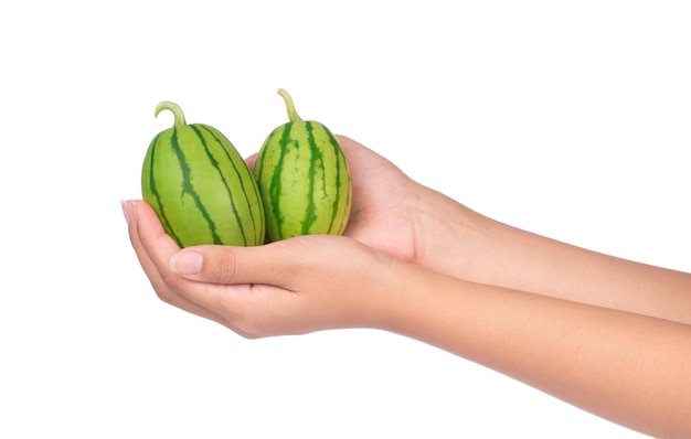 hand holding Watermelon isolated on white background