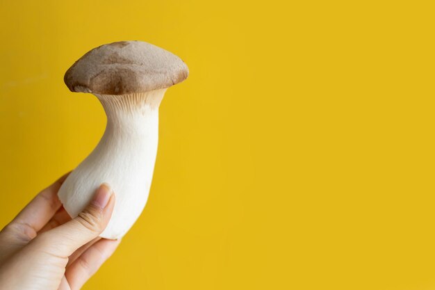 Hand holding white mushroom