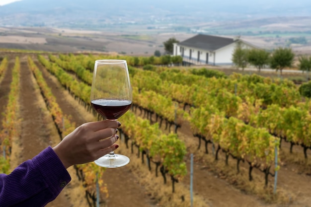 Hand holding wine glass