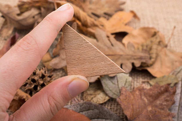 Hand holding wooden triangle over leaves