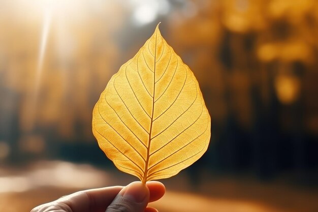 Photo a hand holding a yellow autumn leaf closeup in sunlight