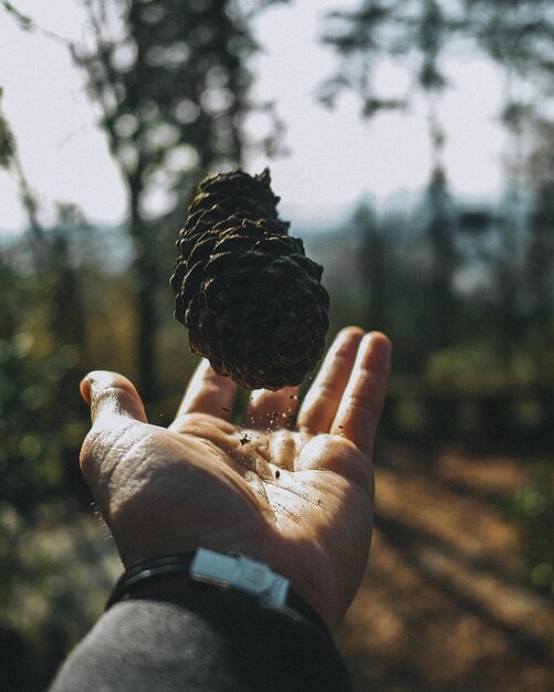 Foto tenuta a mano