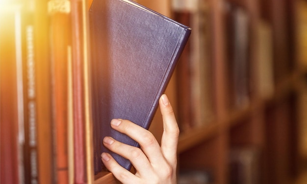 손 보유 책 법률 책 법률 시스템 도서관 법률 도서관 연구