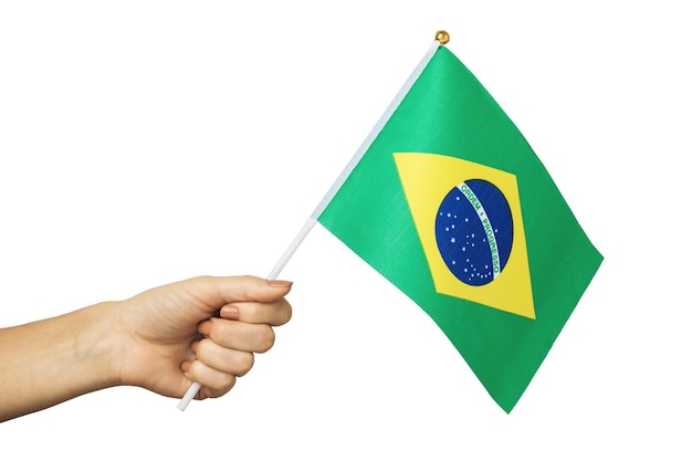 Hand holds Brazilian flag isolated on white background, template for designers