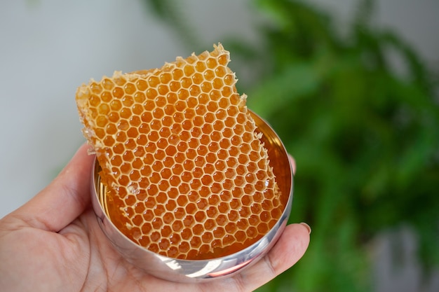 A hand holds honey in a honeycomb in a gold bowl on the background of a green plant.