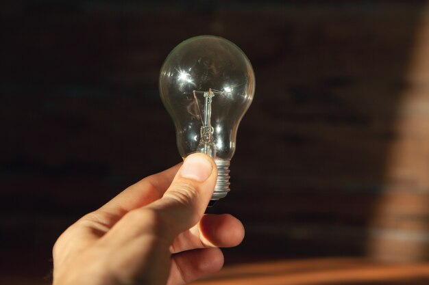 Hand holds light bulb on wooden background