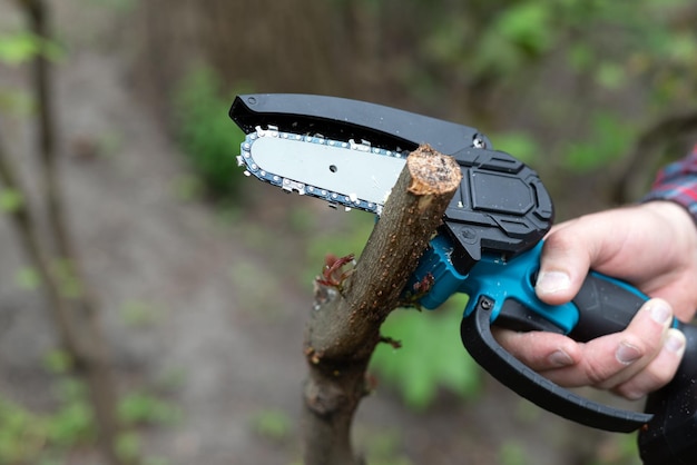 Photo hand holds light chain saw with battery to trim broken branch of an tree in sunny day