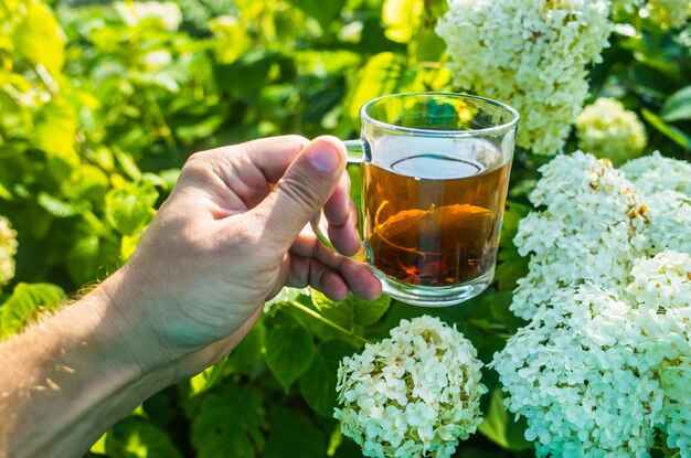 手は新鮮な熱い紅茶の入ったマグカップを持っています太陽の光で朝の植生の美しい緑の背景爽快な飲み物