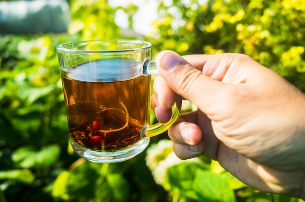 Рука держит кружку со свежим горячим черным чаем Красивый зеленый фон растительности утром с лучами солнца Бодрящий напиток