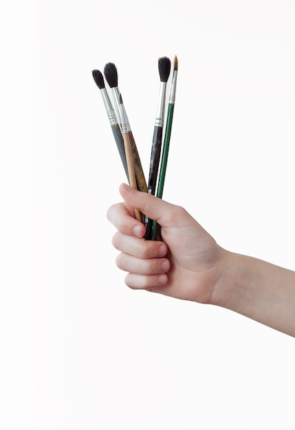 Hand holds out several different brushes for drawing.