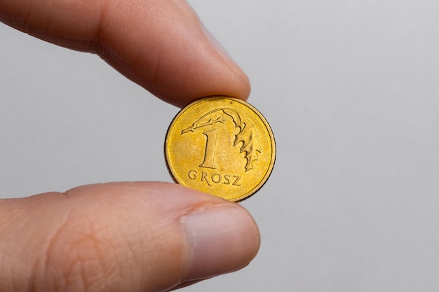 A hand holds a Polish one penny coin on a white background close-up.