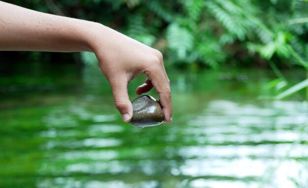 A hand holds a rock in front of a body of water.