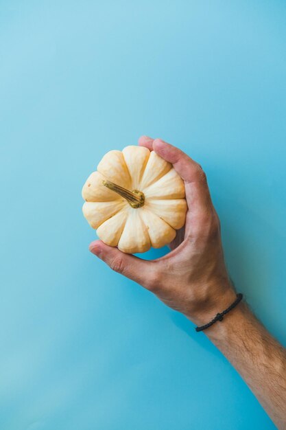 Photo the hand holds a small white pumpkin on a blue background