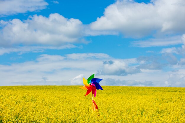 Hand holiding pinwheel en regenboogvlag in koolzaad veld