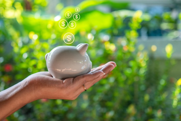 Hand human and Piggy bank on natural bokeh background saving concept