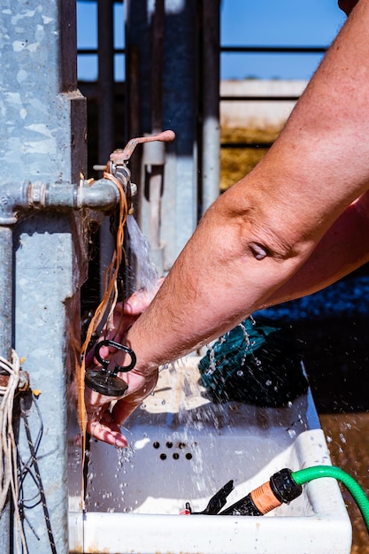 Hand hygiene after cow veterinary visit