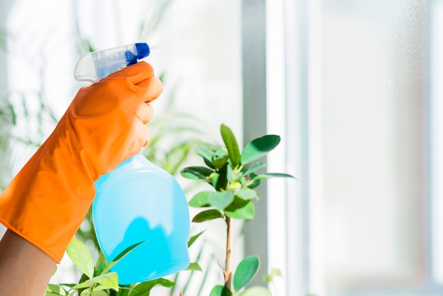 Фото Рука в резиновой перчатке держит распылительную бутылку жидкого моющего средства