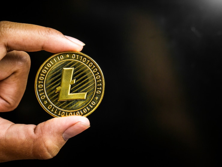 Фотография рука держит золото litecoin.