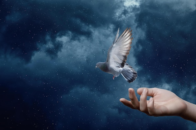 A hand is holding a pigeon in the sky