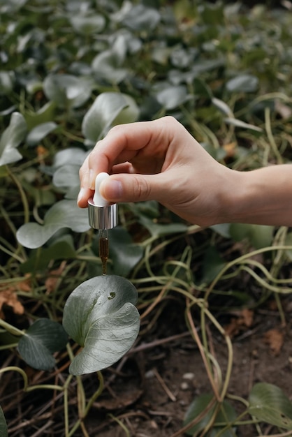 A hand is holding a small plant with a leaf that says'the word'on it '