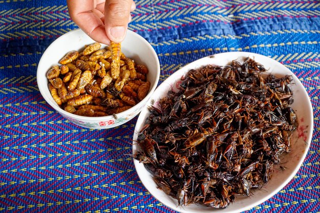 Photo a hand is picking up fried insects chrysalis lots of crispy fried crickets and chrysalis