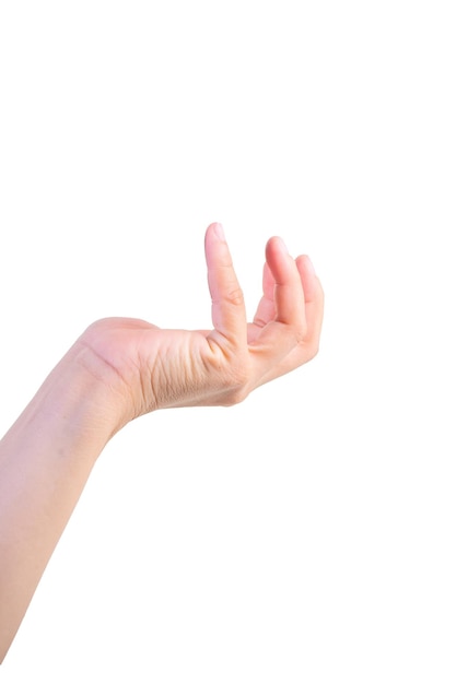 hand on isolated background clipping path