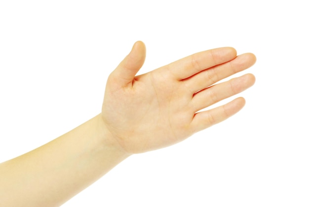 Hand isolated on a white