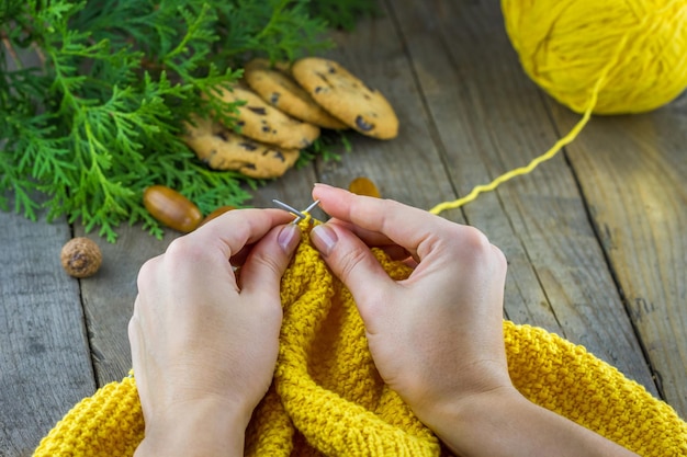 Hand knitting from wool with cookies and spruce branches on a wooden table