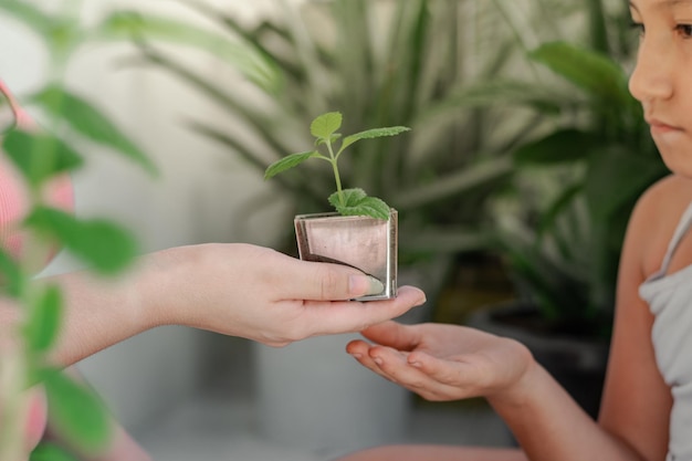 小さな娘に園芸植物を渡すラテン系の母親の手