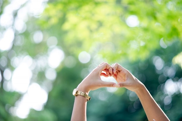 Hand made heart shape in natural green background