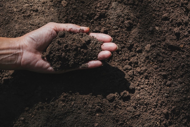 Hand of male holding soil in the hands for planting 