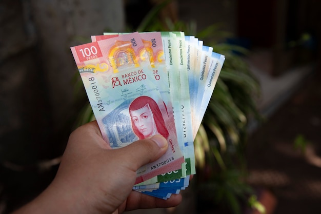 Photo hand of a man holding new bank notes of mexican peso