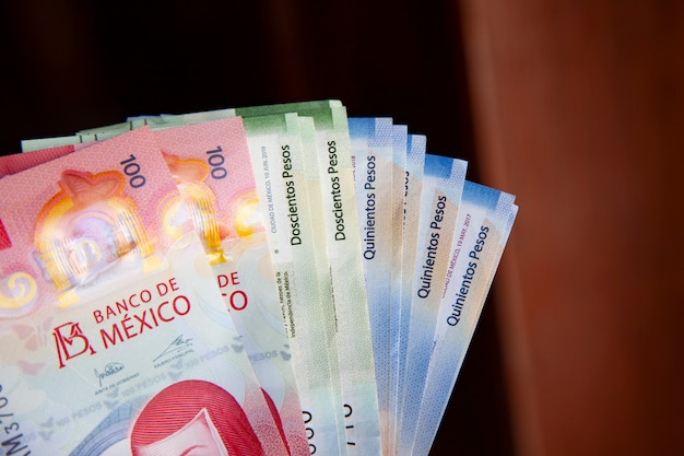 Hand of a man holding new bank notes of mexican peso