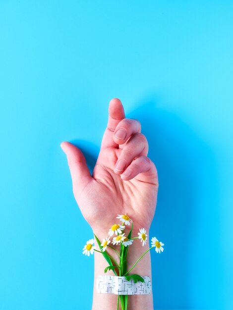 Hand of mature woman with chamomile flower bouquet attached\
with medical aid patch. creative modern flat lay on blue wall.