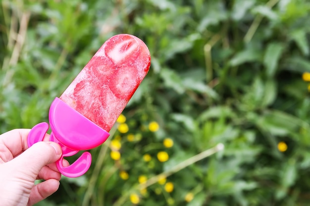 Hand met aardbeienijsje op de achtergrond van de zomeraard in warme zonnige dag Zelfgemaakt vers fruitdessert