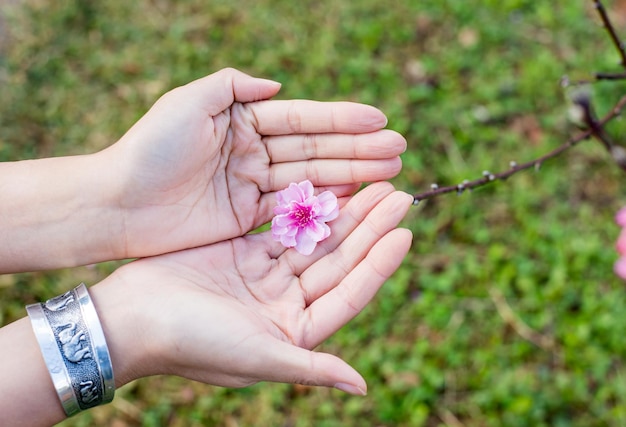 hand met bloeiende bloem in de tuin