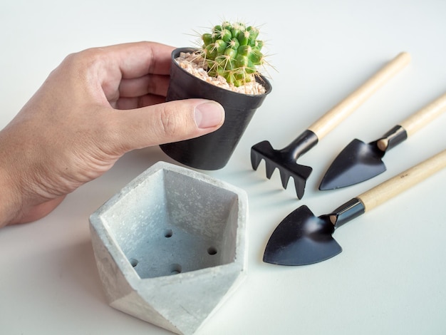 Hand met cactusplant met geometrische betonnen plantenbak en tuingereedschapset