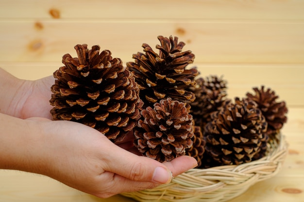 Hand met droge dennenappels, de achtergrond is een houten muur