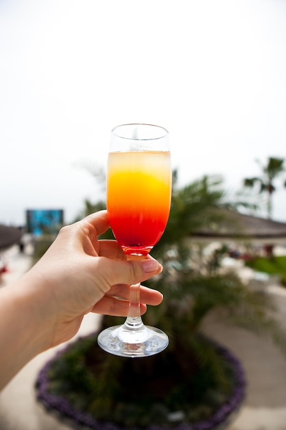 Hand met een glas cocktail van oranje en rode kleur tegen de achtergrond van palmbomen en een zwembad Sinaasappeldrank met fruitlikeur en ijszomer verfrissend drankje in het hotel