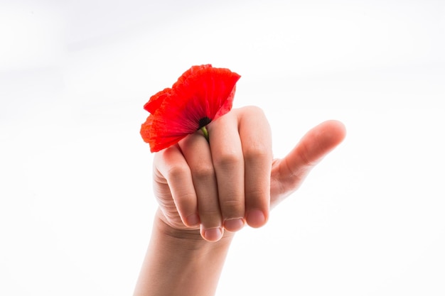 Hand met een rode papaver