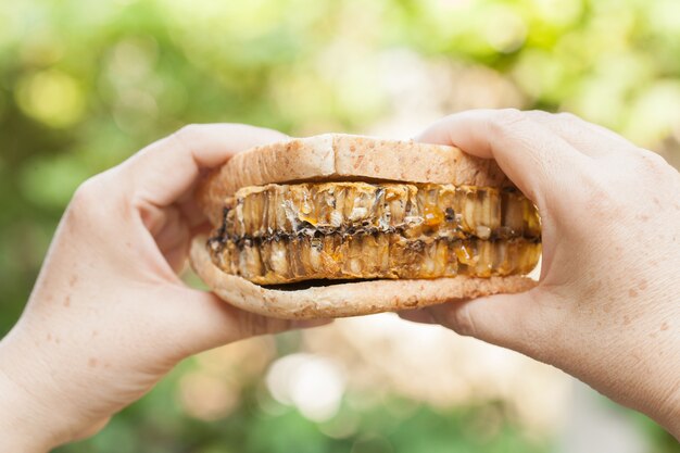 hand met een sandwich honingraat