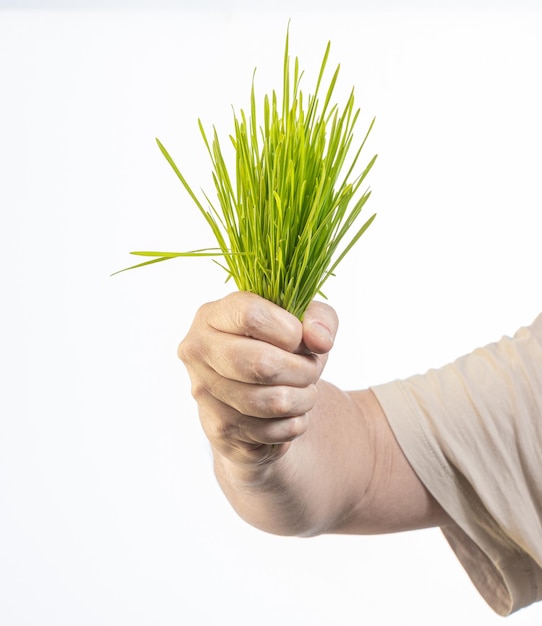 hand met groen gras