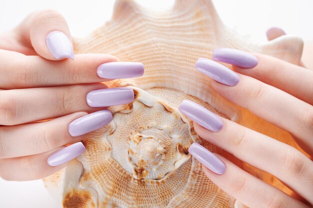 Hand met lange violet gemanicuurde nagels en zeeschelp