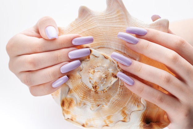 Hand met lange violet gemanicuurde nagels en zeeschelp