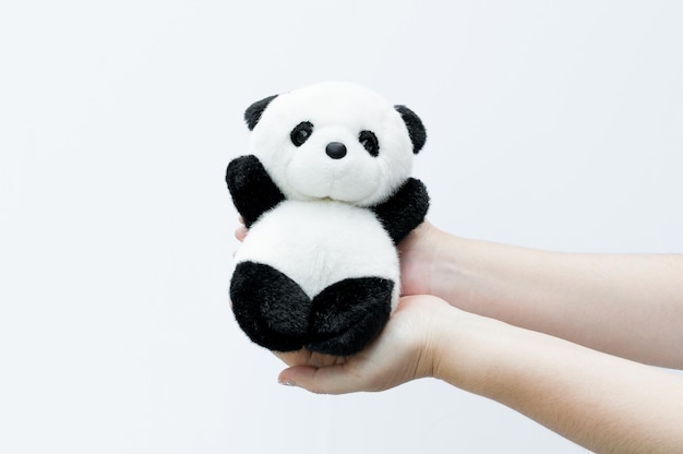 Hand met panda pop, zwarte rand van ogen, panda speelgoed op witte achtergrond