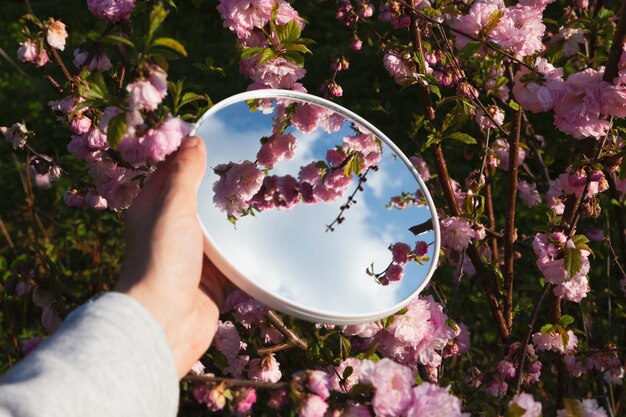 Hand met ronde spiegel Amandelboom bloemen en blauwe lucht reflecties in spiegel